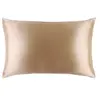 Slip Silk Pillowcase - Queen - Caramel