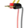 Fiches bananes Speaker Snap Fiches bananes Auto (lot de 4)