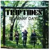 Curation The Triptides - So Many Days [Vinyl]