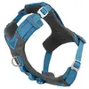 Animal Boulevard Kurgo Harnais pour Chiens Journey Air, pour la randonnée, courir et marcher tous les jours, réfléchissant   Bleu/gris - Taille M