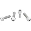 Wolf Tooth Vis De Porte-bidon Titanium Standard Head Raw