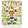 New York Puzzle Company Vegetables - Légumes York-Puzzle-PD635