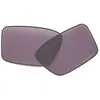 Oakley Verres De Rechange Heliostat Prizm
