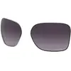 Oakley Verres De Rechange Wildrye Prizm Gradient Polarized