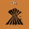 Mute Records A Broken Frame The 12" Singles Collection Coffret Inclus un poster