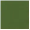 Bazzill Textuurpapier - Mono Canvas - 30.5x30.5cm - Ivy - 25 vellen