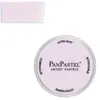 PanPastel - Violet Tint