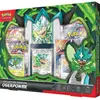 Pokemon Cartes à collectionner Pokémon Coffret Premium Ogerpon Ex