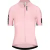 Q36.5 Maillot à Manches Courtes Gregarius Pro Signature
