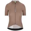 Q36.5 Maillot à Manches Courtes Dottore Pro