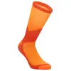 Q36.5 Chaussettes Hybrid