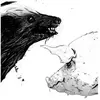 Warp Records Honey Badger Pig