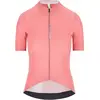 Q36.5 Maillot à Manches Courtes Dottore Pro