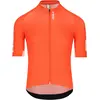 Q36.5 Maillot à Manches Courtes Gregarius Pro Signature