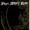 Southern Lord Rejoice The End/Rage Of Sanity