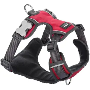 Red Dingo Tuig Padded Harness body omvang 37-52cm DH-PH-RE-SM pas cher