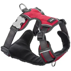 Harnais Chien Red Dingo Rembourré Rouge Taille : T5 - Red Dingo pas cher