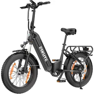 KuKirin G2 Master Version 2025 Trottinette Électrique - Moteur 1000 W ... pas cher
