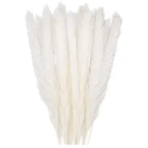 Ugreat - 30 pcs Herbe de la Pampa, 58 cm Naturel Pampa Fleur Bouquet de Fleurs Sechees pour Vases, Blanc Boho Decoration Chambre Maison Salon, pas cher