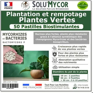 SoluMycor 50 Pastilles Bio-stimulantes engrais pour Plantation et Rempotage de Plantes Vertes - Développement racinaire pas cher