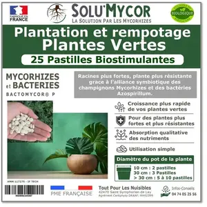 SoluMycor 25 Pastilles Bio-stimulantes, engrais pour Plantation et Rempotage de Plantes Vertes - Développement racinaire pas cher