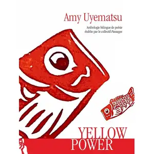 Editions L'Ire des marges Yellow Power pas cher