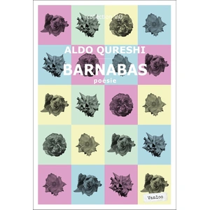 Barnabas pas cher