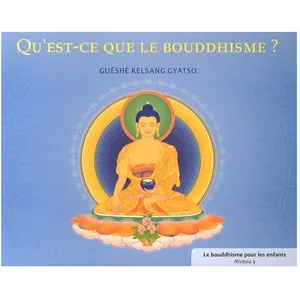 Qu'est-Ce Que Le Bouddhisme ? pas cher