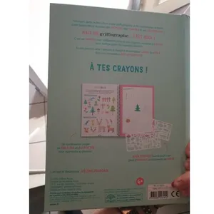 Je Dessine Pas À Pas Avec Le Griffographe - Avec 2 Pochoirs Fournis pas cher