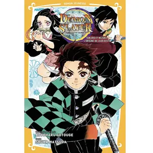 Panini Manga Tanjiro et Nezuko : L'origine de leur destin pas cher
