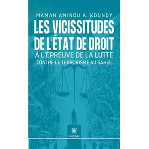 Les vicissitudes de l'Etat de droit à l'epreuve de la lutte contre le terrorisme au Sahel - Maman Aminou A. Koundy pas cher
