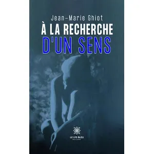 À la recherche d'un sens - Jean-Marie Ghiot pas cher