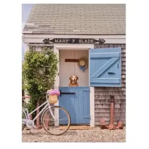 Galison Gray Malin Nantucket 1000 Piece Book Box Puzzle pas cher