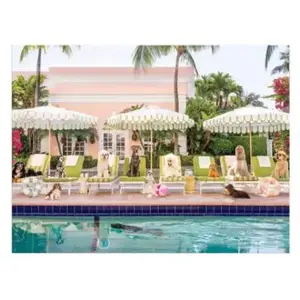 Workman Publishing Gray Malin Palm Beach 1000 Piece Book Box Puzzle (1000 pièces) pas cher
