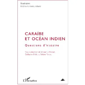 Itinéraires, Littérature, Textes, Cultures N° 2/2009 - Caraïbe Et Océan Indien - Questions D'histoire pas cher