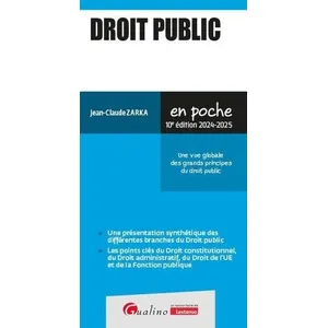 Gualino Eds Droit Public - Une Vue Globale Des Grands Principes Du Droit Public pas cher