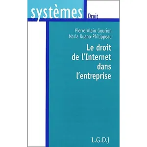 Lgdj Le droit de l'internet dans l'entreprise