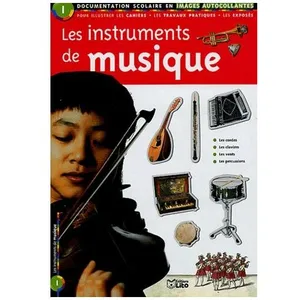 Les Instruments De Musique