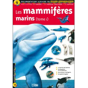 Lito Les mammifères marins pas cher