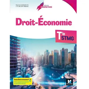 Foucher Droit-Economie Tle Stmg pas cher