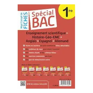 Comparateur de prix : Magnard Spécial Bac Maxi Compil de Fiches contrôle continu 1re Bac 202...