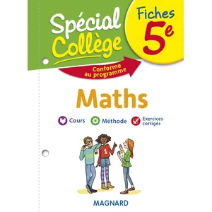 Magnard Fiches maths 5e Spécial Collège pas cher
