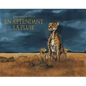 Archimede En attendant la pluie pas cher