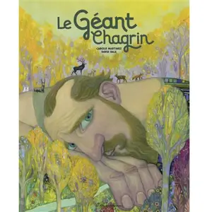 Casterman Le Géant Chagrin pas cher