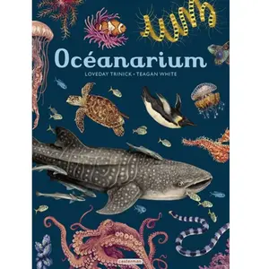 Casterman Océanarium pas cher