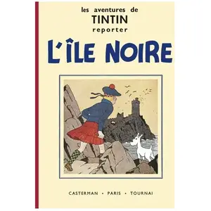 Comparateur de prix : CASTERMAN Les Aventures De Tintin - L'ile Noire - Petit Format