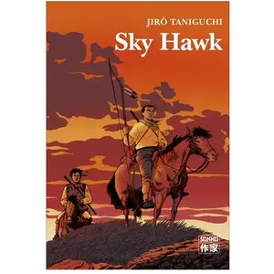 Sky Hawk pas cher