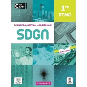 Delagrave Sciences De Gestion Et Numérique 1re Stmg pas cher