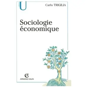 Armand Colin Sociologie Économique - Etat, Marché Et Société Dans Le Capitalisme Moderne pas cher