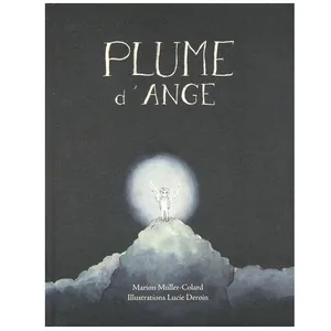 Livres enfant : Plume D'ange pas cher
